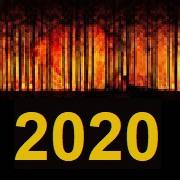 Aree percorse dal fuoco (anno 2020)