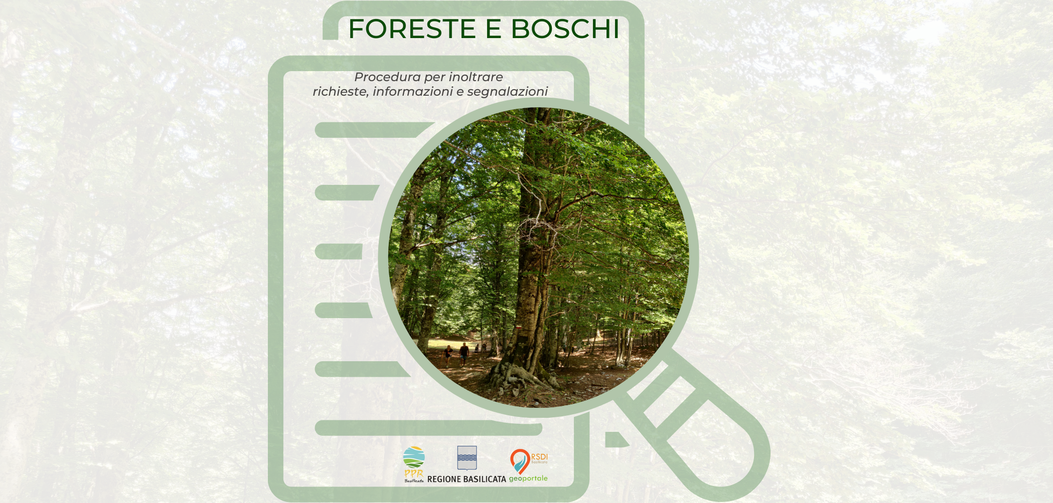 Foreste e boschi: procedura per inoltrare richieste, osservazioni, segnalazioni