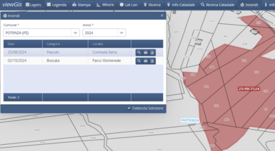 Perimetrazioni delle aree percorse dal fuoco – 2024