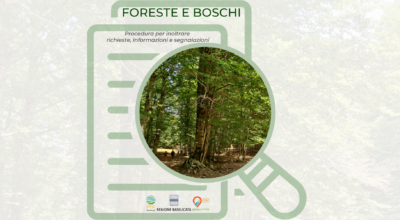 Foreste e boschi: procedura per inoltrare richieste, osservazioni, segnalazioni